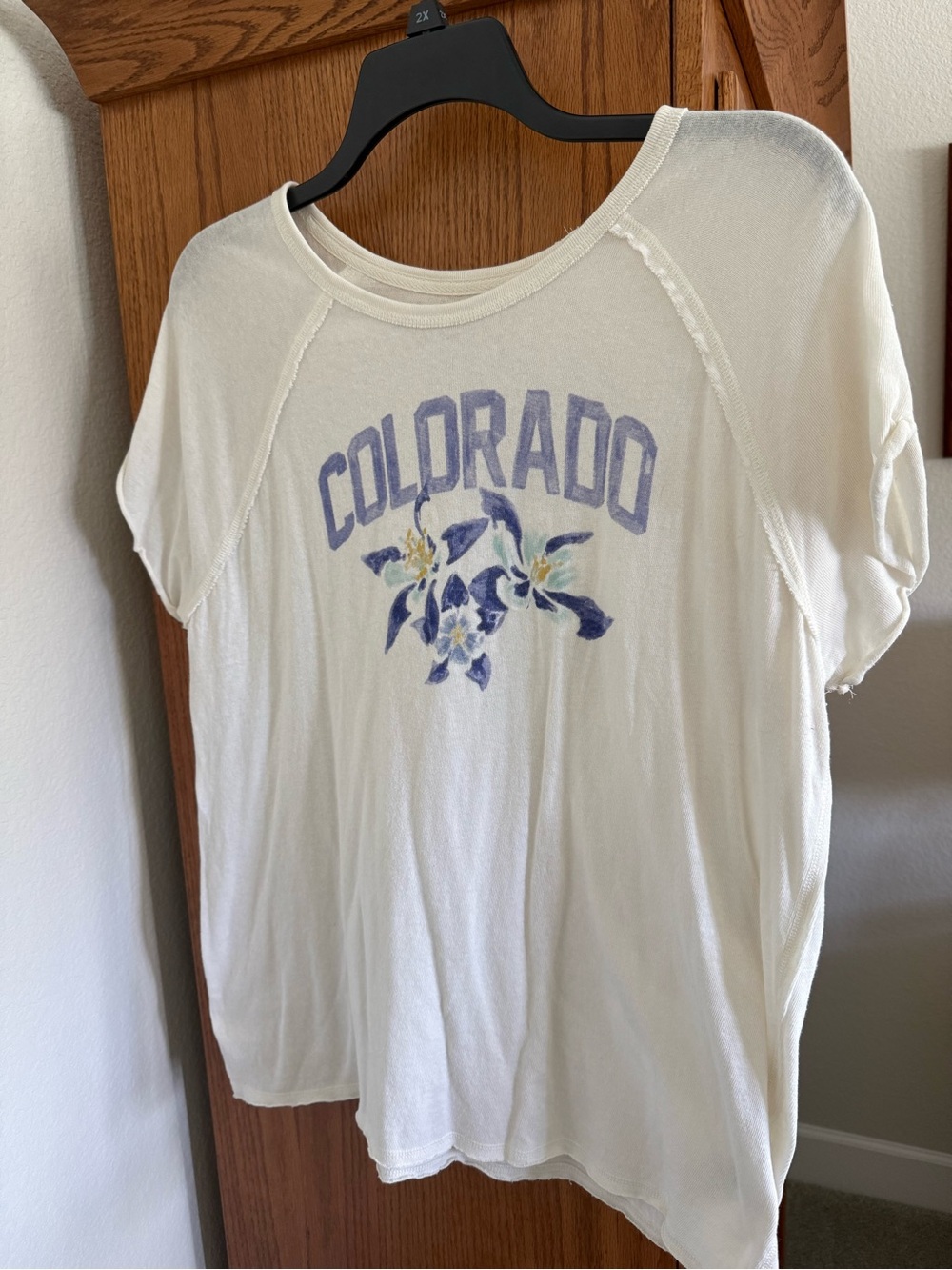 We The Free Cream Colorado Floral Graphic Tee